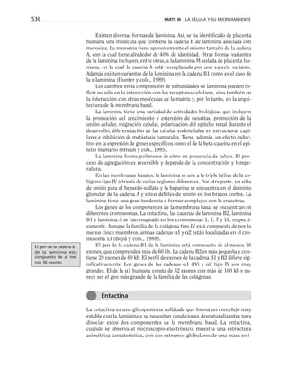 biologia-celular-y-molecular.pdf