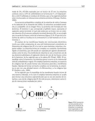 biologia-celular-y-molecular.pdf