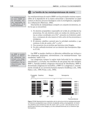 biologia-celular-y-molecular.pdf