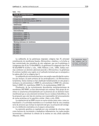 biologia-celular-y-molecular.pdf