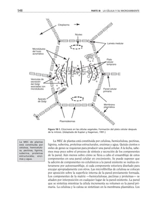 biologia-celular-y-molecular.pdf