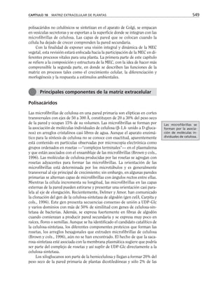 biologia-celular-y-molecular.pdf