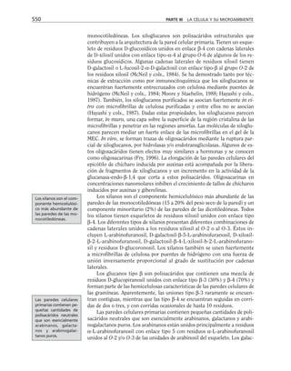 biologia-celular-y-molecular.pdf