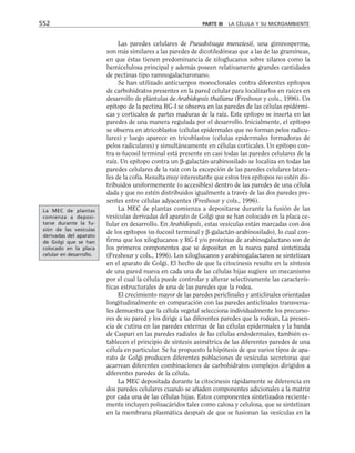 biologia-celular-y-molecular.pdf