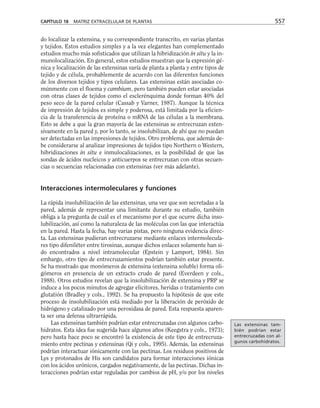 biologia-celular-y-molecular.pdf