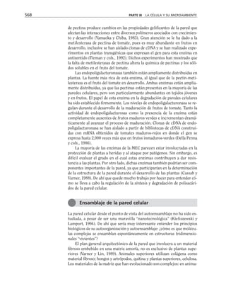 biologia-celular-y-molecular.pdf