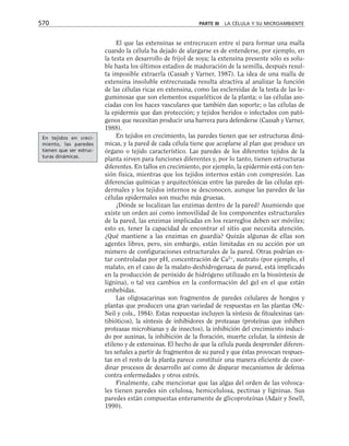 biologia-celular-y-molecular.pdf
