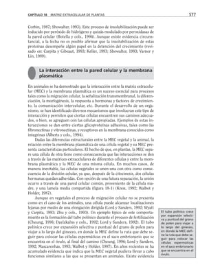 biologia-celular-y-molecular.pdf