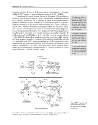 biologia-celular-y-molecular.pdf