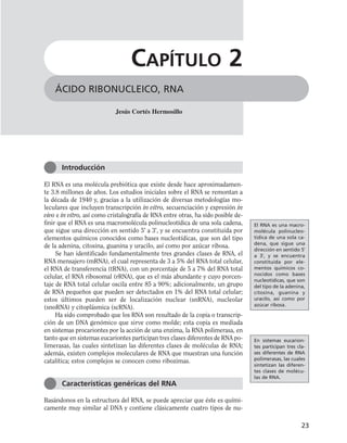 El RNA es una molécula prebiótica que existe desde hace aproximadamen-
te 3.8 millones de años. Los estudios iniciales sobre el RNA se remontan a
la década de 1940 y, gracias a la utilización de diversas metodologías mo-
leculares que incluyen transcripción in vitro, secuenciación y expresión in
vivo e in vitro, así como cristalografía de RNA entre otras, ha sido posible de-
finir que el RNA es una macromolécula polinucleotídica de una sola cadena,
que sigue una dirección en sentido 5' a 3', y se encuentra constituida por
elementos químicos conocidos como bases nucleotídicas, que son del tipo
de la adenina, citosina, guanina y uracilo, así como por azúcar ribosa.
Se han identificado fundamentalmente tres grandes clases de RNA, el
RNA mensajero (mRNA), el cual representa de 3 a 5% del RNA total celular,
el RNA de transferencia (tRNA), con un porcentaje de 5 a 7% del RNA total
celular, el RNA ribosomal (rRNA), que es el más abundante y cuyo porcen-
taje de RNA total celular oscila entre 85 a 90%; adicionalmente, un grupo
de RNA pequeños que pueden ser detectados en 1% del RNA total celular;
estos últimos pueden ser de localización nuclear (snRNA), nucleolar
(snoRNA) y citoplásmica (scRNA).
Ha sido comprobado que los RNA son resultado de la copia o transcrip-
ción de un DNA genómico que sirve como molde; esta copia es mediada
en sistemas procariontes por la acción de una enzima, la RNA polimerasa, en
tanto que en sistemas eucariontes participan tres clases diferentes de RNA po-
limerasas, las cuales sintetizan las diferentes clases de moléculas de RNA;
además, existen complejos moleculares de RNA que muestran una función
catalítica; estos complejos se conocen como ribozimas.
Basándonos en la estructura del RNA, se puede apreciar que éste es quími-
camente muy similar al DNA y contiene clásicamente cuatro tipos de nu-
23
ÁCIDO RIBONUCLEICO, RNA
CAPÍTULO 2
Introducción
Jesús Cortés Hermosillo
Características genéricas del RNA
El RNA es una macro-
molécula polinucleo-
tídica de una sola ca-
dena, que sigue una
dirección en sentido 5'
a 3', y se encuentra
constituida por ele-
mentos químicos co-
nocidos como bases
nucleotídicas, que son
del tipo de la adenina,
citosina, guanina y
uracilo, así como por
azúcar ribosa.
En sistemas eucarion-
tes participan tres cla-
ses diferentes de RNA
polimerasas, las cuales
sintetizan las diferen-
tes clases de molécu-
las de RNA.
 
