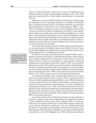 biologia-celular-y-molecular.pdf