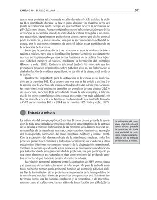 biologia-celular-y-molecular.pdf