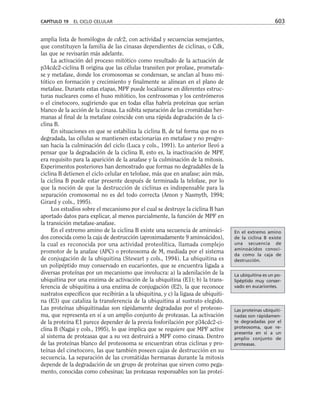 biologia-celular-y-molecular.pdf