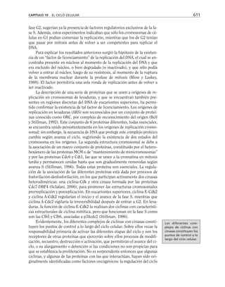 biologia-celular-y-molecular.pdf