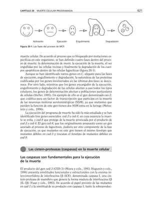 biologia-celular-y-molecular.pdf