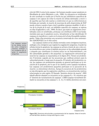 biologia-celular-y-molecular.pdf