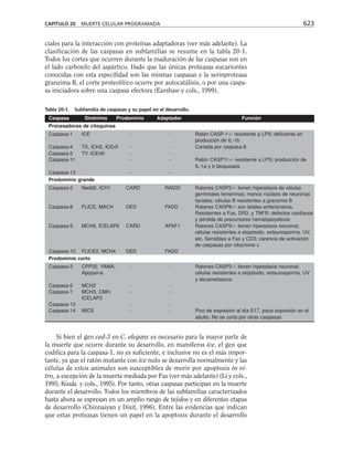 biologia-celular-y-molecular.pdf