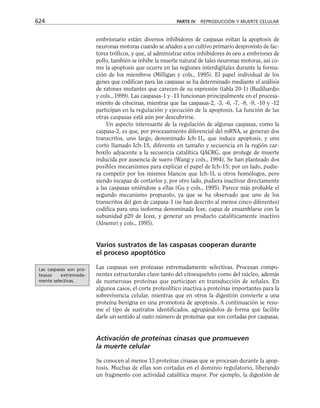 biologia-celular-y-molecular.pdf