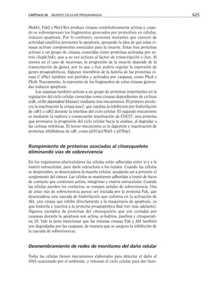 biologia-celular-y-molecular.pdf