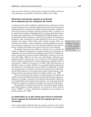 biologia-celular-y-molecular.pdf