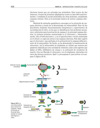 biologia-celular-y-molecular.pdf