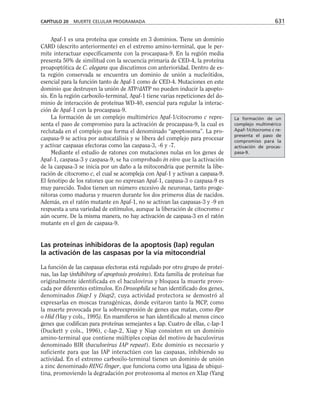 biologia-celular-y-molecular.pdf