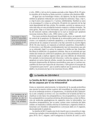 biologia-celular-y-molecular.pdf