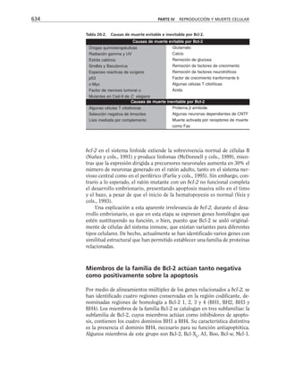 biologia-celular-y-molecular.pdf