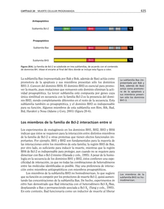 biologia-celular-y-molecular.pdf