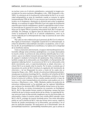 biologia-celular-y-molecular.pdf
