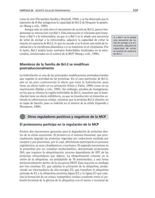 biologia-celular-y-molecular.pdf