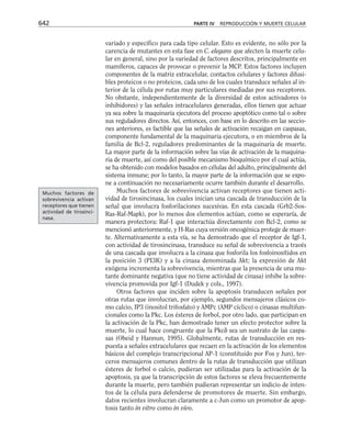 biologia-celular-y-molecular.pdf