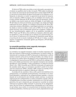 biologia-celular-y-molecular.pdf