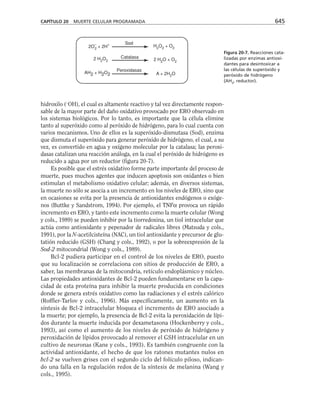 biologia-celular-y-molecular.pdf