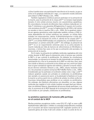 biologia-celular-y-molecular.pdf
