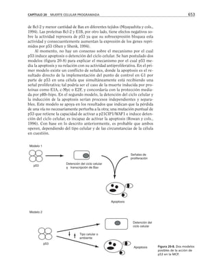 biologia-celular-y-molecular.pdf