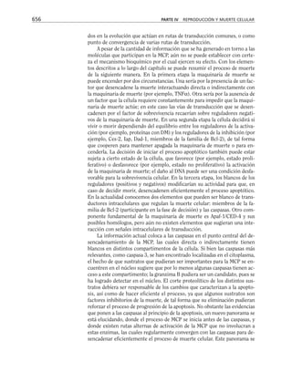 biologia-celular-y-molecular.pdf