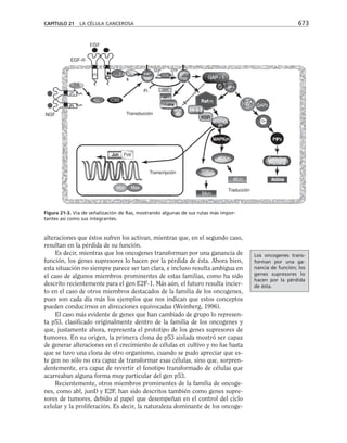 biologia-celular-y-molecular.pdf
