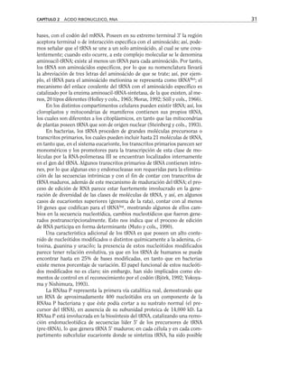 bases, con el codón del mRNA. Poseen en su extremo terminal 3' la región
aceptora terminal o de interacción específica con el aminoácido; así, pode-
mos señalar que el tRNA se une a un solo aminoácido, al cual se une cova-
lentemente; cuando esto ocurre, a este complejo molecular se le denomina
aminoacil-tRNA; existe al menos un tRNA para cada aminoácido. Por tanto,
los tRNA son aminoácidos específicos, por lo que su nomenclatura llevará
la abreviación de tres letras del aminoácido de que se trate; así, por ejem-
plo, el tRNA para el aminoácido metionina se representa como tRNAMet
; el
mecanismo del enlace covalente del tRNA con el aminoácido específico es
catalizado por la enzima aminoacil-tRNA-sintetasa, de la que existen, al me-
nos, 20 tipos diferentes (Holley y cols., 1965; Moras, 1992; Söll y cols., 1966).
En los distintos compartimentos celulares pueden existir tRNA; así, los
cloroplastos y mitocondrias de mamíferos contienen sus propios tRNA,
los cuales son diferentes a los citoplásmicos, en tanto que las mitocondrias
de plantas poseen tRNA que son de origen nuclear (Steinberg y cols., 1993).
En bacterias, los tRNA proceden de grandes moléculas precursoras o
transcritos primarios, los cuales pueden incluir hasta 21 moléculas de tRNA,
en tanto que, en el sistema eucarionte, los transcritos primarios parecen ser
monoméricos y los promotores para la transcripción de esta clase de mo-
léculas por la RNA-polimerasa III se encuentran localizados internamente
en el gen del tRNA. Algunos transcritos primarios de tRNA contienen intro-
nes, por lo que algunas exo y endonucleasas son requeridas para la elimina-
ción de las secuencias intrónicas y con el fin de contar con transcritos de
tRNA maduros, además de este mecanismo de maduración del tRNA; el pro-
ceso de edición de RNA parece estar fuertemente involucrado en la gene-
ración de diversidad de las clases de moléculas de tRNA, y así, en algunos
casos de eucariontes superiores (genoma de la rata), contar con al menos
10 genes que codifican para el tRNAAsp
, mostrando algunos de ellos cam-
bios en la secuencia nucleotídica, cambios nucleotídicos que fueron gene-
rados postranscripcionalmente. Esto nos indica que el proceso de edición
de RNA participa en forma determinante (Muto y cols., 1990).
Una característica adicional de los tRNA es que poseen un alto conte-
nido de nucleótidos modificados o distintos químicamente a la adenina, ci-
tosina, guanina y uracilo; la presencia de estos nucleótidos modificados
parece tener relación evolutiva, ya que en los tRNA de humanos se puede
encontrar hasta en 25% de bases modificadas, en tanto que en bacterias
existe menos porcentaje de variación. El papel funcional de estos nucleóti-
dos modificados no es claro; sin embargo, han sido implicados como ele-
mentos de control en el reconocimiento por el codón (Björk, 1992; Yokoya-
ma y Nishimura, 1993).
La RNAsa P representa la primera vía catalítica real, demostrando que
un RNA de aproximadamente 400 nucleótidos era un componente de la
RNAsa P bacteriana y que éste podía cortar a su sustrato normal (el pre-
cursor del tRNA), en ausencia de su subunidad proteica de 14,000 kD. La
RNAsa P está involucrada en la biosíntesis del tRNA, catalizando una remo-
ción endonucleotídica de secuencias líder 5' de los precursores de tRNA
(pre-tRNA), lo que genera tRNA 5' maduros; en cada célula y en cada com-
partimento subcelular eucarionte donde se sintetiza tRNA, ha sido posible
CAPÍTULO 2 ÁCIDO RIBONUCLEICO, RNA 31
 