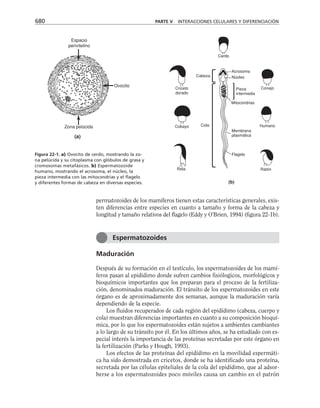 biologia-celular-y-molecular.pdf