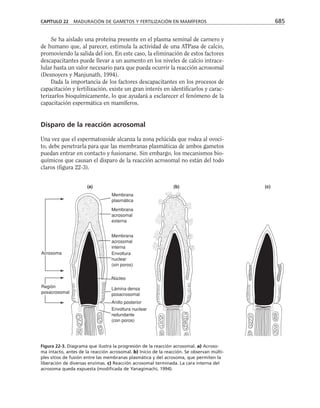 biologia-celular-y-molecular.pdf
