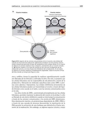 biologia-celular-y-molecular.pdf