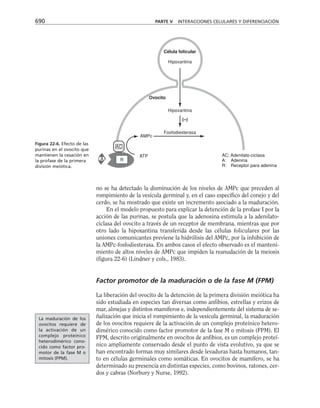 biologia-celular-y-molecular.pdf