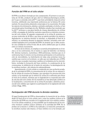 biologia-celular-y-molecular.pdf