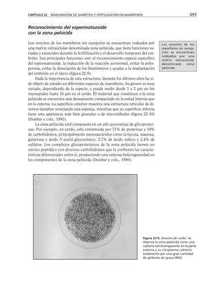 biologia-celular-y-molecular.pdf