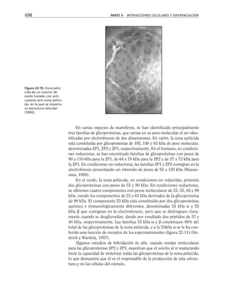biologia-celular-y-molecular.pdf