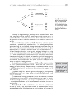 biologia-celular-y-molecular.pdf