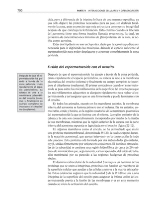 biologia-celular-y-molecular.pdf