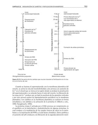 biologia-celular-y-molecular.pdf