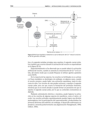 biologia-celular-y-molecular.pdf